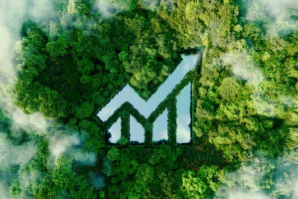 全球电动汽车转型进程：进展缓慢 随后全面受阻