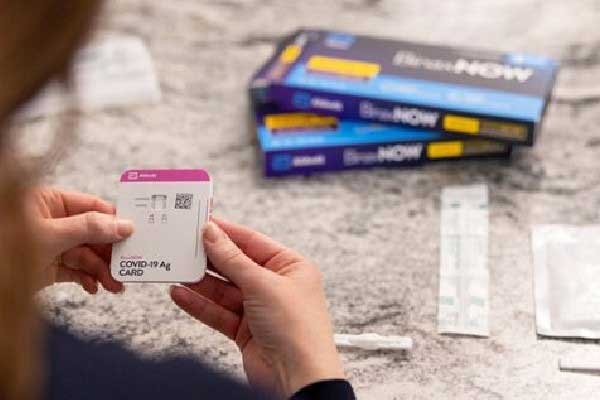 曾经被嘲笑的“黄金信徒”正迎来他们的高光时刻